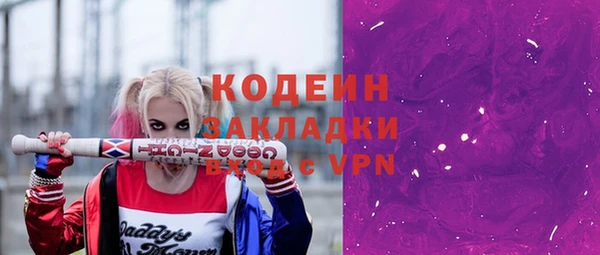 крисы Мегион