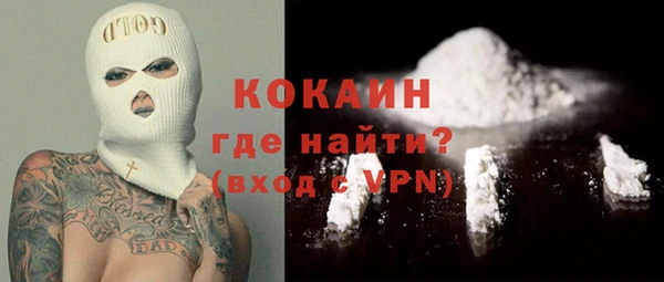 крисы Мегион