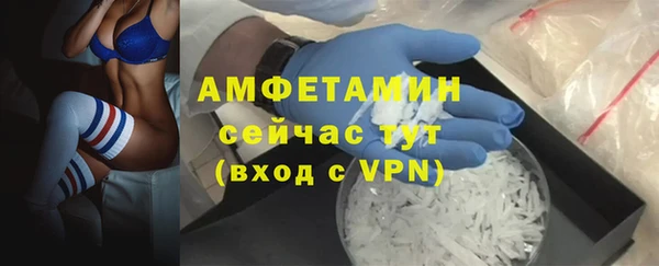 шишки Абаза