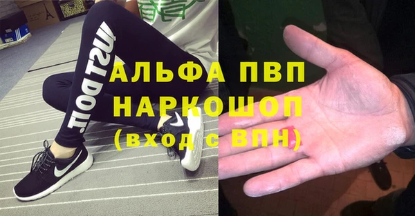 крисы Мегион