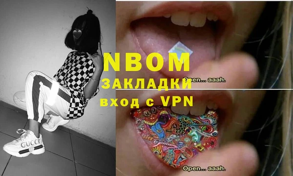 шишки Абаза