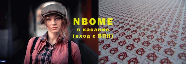 шишки Абаза