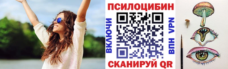 блэк спрут рабочий сайт  Рязань  Псилоцибиновые грибы мицелий 