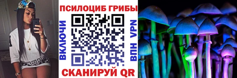 Галлюциногенные грибы Cubensis Рязань